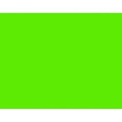 Bazic Products 22 in. W X 28 in. L Fluorescent Green Poster Board