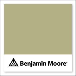 Benjamin Moore Ivy Lane 523
