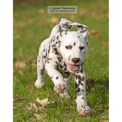 BrownTrout Publishers 2026 Engagement 1 in. H X 8 in. L Multicolored Paper I Love Puppies Monthly Pl