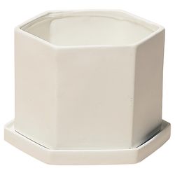 Chive Hexi 4.5 in. D Ceramic Flower Pot White