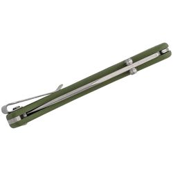 Buck Knives Slim Select Green 420 HC Steel > 6 in. Folding Knife