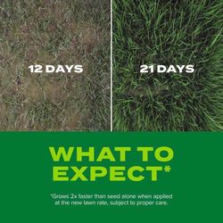 Scotts Turf Builder Mixed Sun or Shade Grass Seed and Fertilizer 2.4 lb