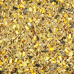 Kaytee Backyard Wildlife Squirrel and Critter Food 5 lb