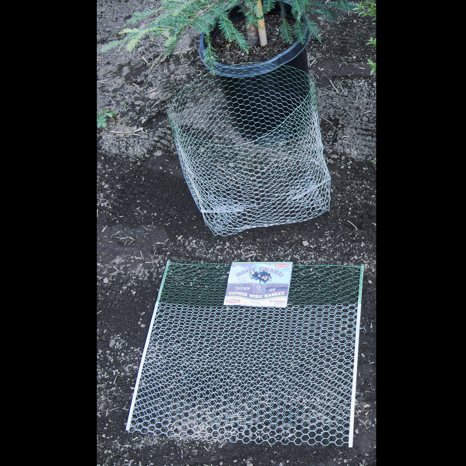 image-3