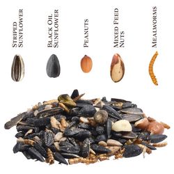Songbird Selections Premium Protein with Mealworm Wild Bird Food 10 lb