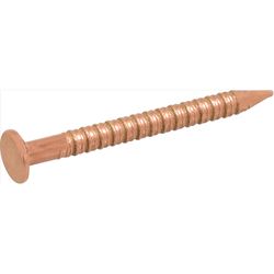 HILLMAN Anchor Wire 1 in. Boat Bronze Steel Nail Flat Head 2 oz