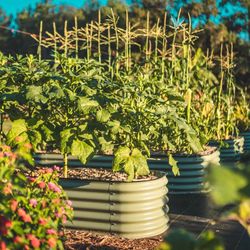Vego Garden 17 in. H Metal 9 in 1 Raised Garden Bed Olive Green
