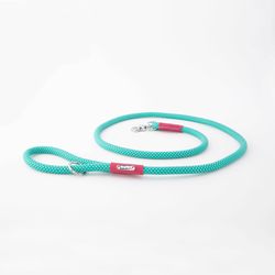 ZippyPaws Teal Mod Essential Poly Dog Leash