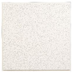 USG Ceilings Fifth Avenue 24 in. L X 24 in. W 0.625 in. Shadow Line Tapered Ceiling Tile 1 pk