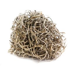 SuperMoss Spanish Moss 200 cu in
