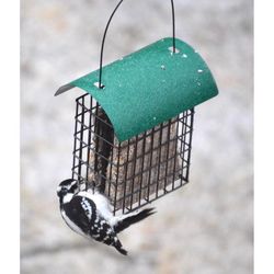 Songbird Essentials Songbird 2 each Metal Suet Feeder Cage