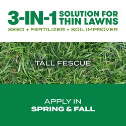 Scotts Turf Builder Tall Fescue Grass Sun or Shade Grass Seed and Fertilizer 12 lb