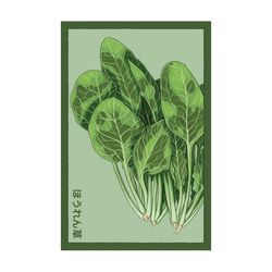 Chive Shido Seed Co. Spinach Seeds 1 pk
