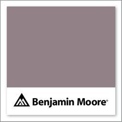 Benjamin Moore Frozen In Time 1448