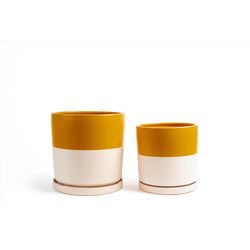 Momma Pots Gemstone Cylinder Porcelain Planter Set Top Half Mustard