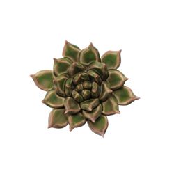 Chive Japan 2.2 in. H X 4.3 in. L Glazed Green Ceramic Succulent Wall Flower