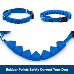 PetSafe Royal Blue Rubber Dog Collar Large