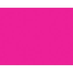 Bazic Products 22 in. W X 28 in. L Fluorescent Pink Poster Board