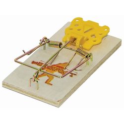 JT Eaton Little Bigfoot Small Snap Trap For Rodents 4 pk