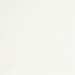Westinghouse White Metal Ceiling Fan Down Rod