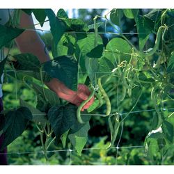 American Nettings & Fabric 78 in. H X 20 ft. W Clear Polypropylene Garden Net Trellis