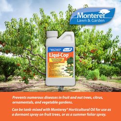 Monterey Liqui-Cop Concentrated Liquid Disease and Fungicide Control 8 oz