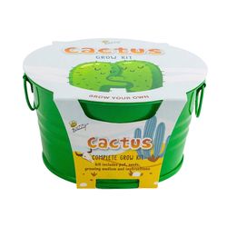 Buzzy Kids Painted Cactus Mini Basin Seed Grow Kit 1 pk