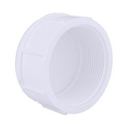 Charlotte Pipe Schedule 40 3 in. FPT PVC Cap 1 pk