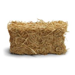 Retailer Sourced Bale Of Hay - 1st Cut