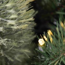Celebrations 4 ft. Full LED 50 ct Mixed Pine Potted Color Changing Christmas Tree
