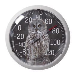 Taylor Owl Design Dial Thermometer Plastic Multicolored 13.25 in.