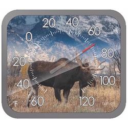 Taylor Moose Design Dial Thermometer Plastic Multicolored 14 in.