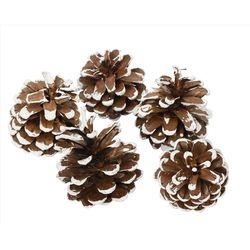 Decoris Set of 5 Pinecones 5.91 in.