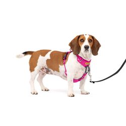 PetSafe Easy Walk Pink Fabric Dog Harness Small/Medium