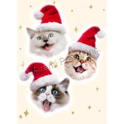 Avanti Press Greeting Card