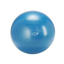 Gymnic Plus Ball Blue