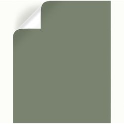 Magnolia Home by Joanna Gaines Olive Grove Peel & Stick Color Sample