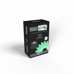 Celebrations Platinum LED C9 Green 25 ct String Christmas Lights 25 ft.