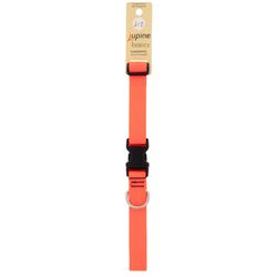 LupinePet Basic Solids Blaze Orange Blaze Orange Nylon Dog Adjustable Collar