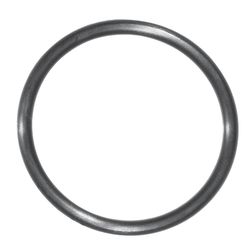 Danco 1-7/8 in. D X 1-5/8 in. D #49 Rubber O-Ring 1 pk