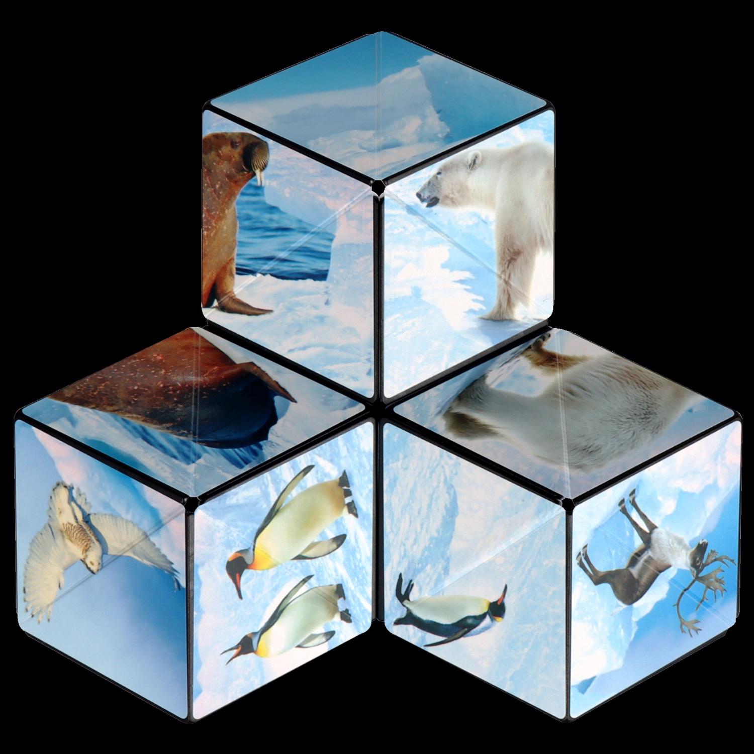 image-3