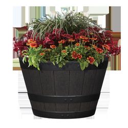 L&G Solutions 12 in. H X 19 in. W X 19 in. D X 19 in. D Polyresin Whiskey Barrel Planter Brown