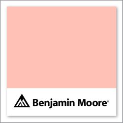 Benjamin Moore Newborn Baby 002