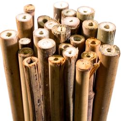 SuperMoss 18 in. H Natural Bamboo Plant Stake