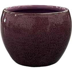 Robert Allen 3 in. D Steel Petite Braeburn Planter Purple