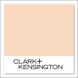 Clark+Kensington Desert Rays 10D-3