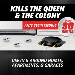 Ortho Orthene Ant Bait