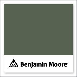 Benjamin Moore Backwoods 469
