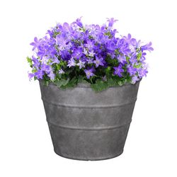 L&G 12 in. H X 16 in. D Polyresin Hamilton Planter Charcoal