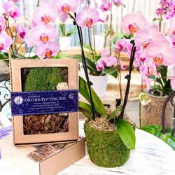 SuperMoss Orchid Fresh Green Moss Potting Kit